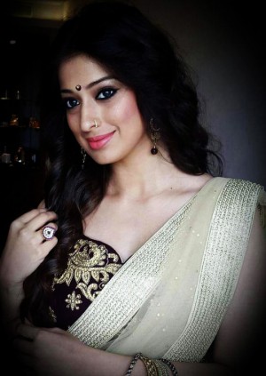 lakshmi rai hot saree 1 (1)